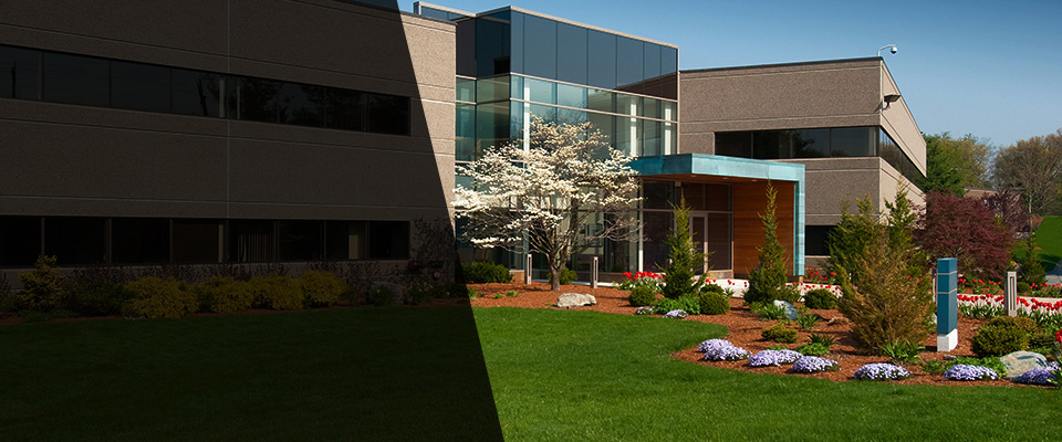 Severna Park Landscapers