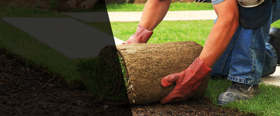 Severna Park Landscapers